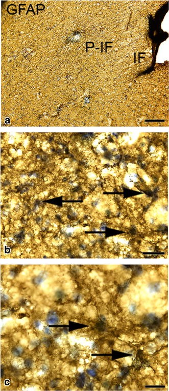 Fig. 6