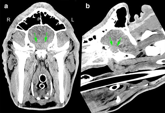 Fig. 2