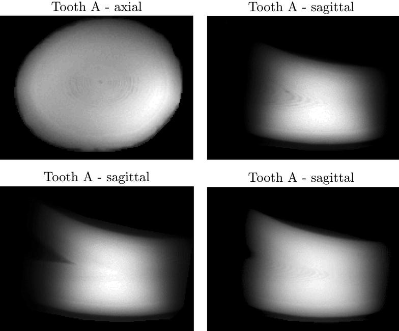 Fig. 4