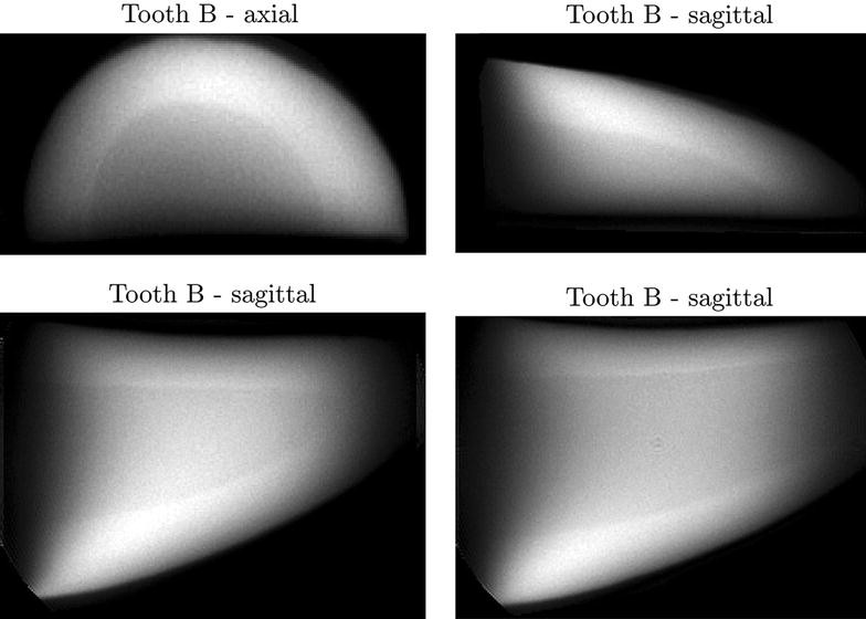 Fig. 5