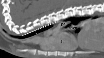 Fig. 3