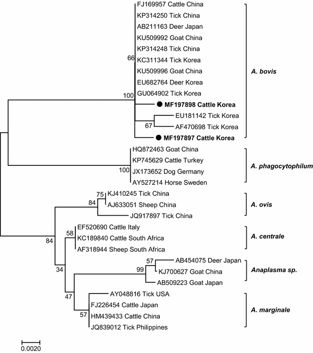 Fig. 2