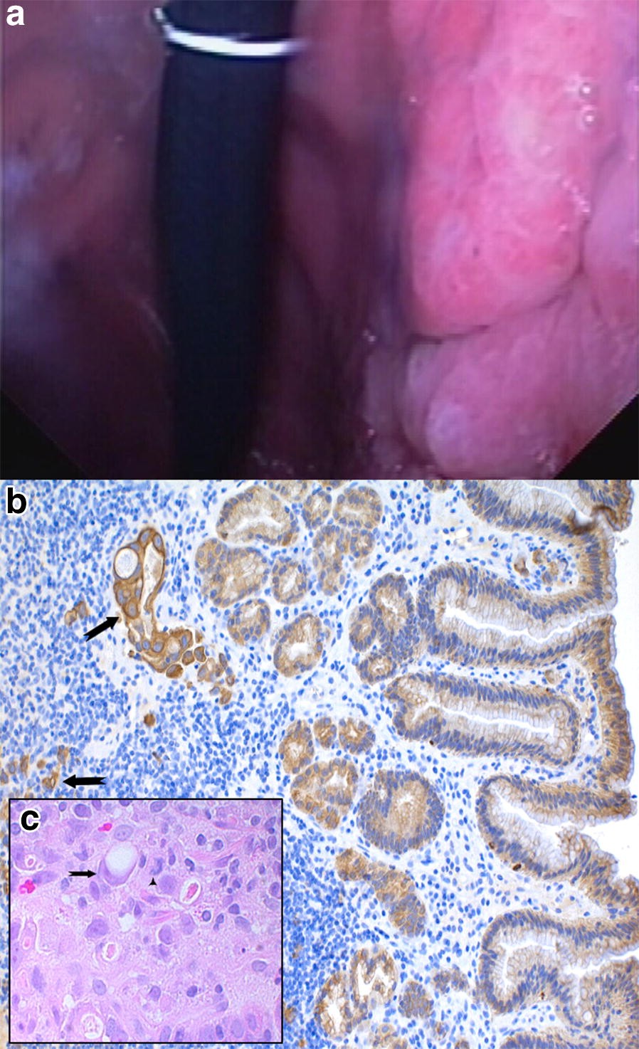 Fig. 5