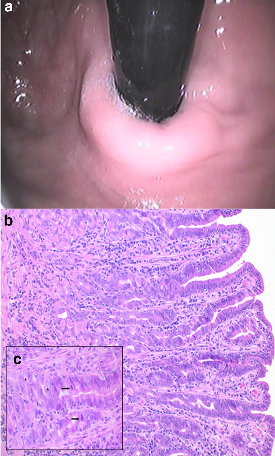 Fig. 6