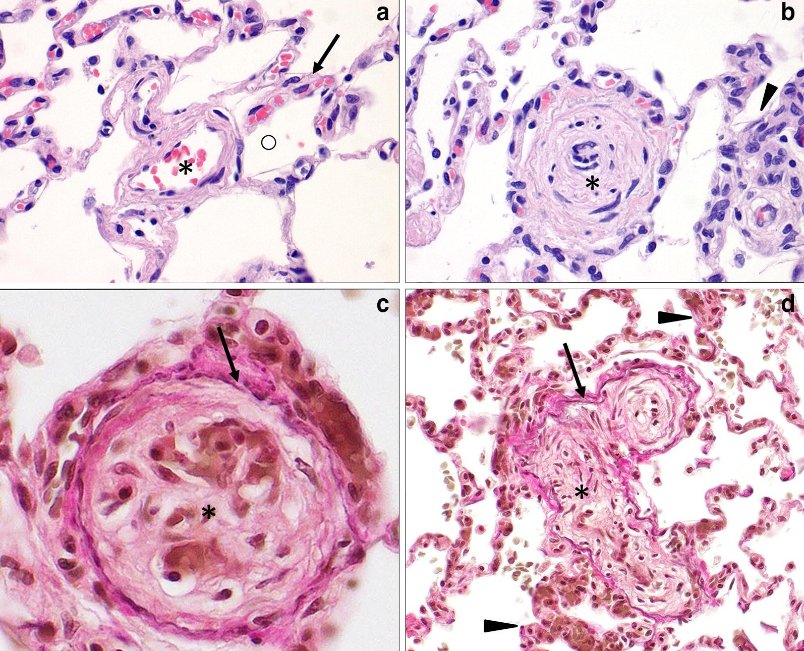 Fig. 6