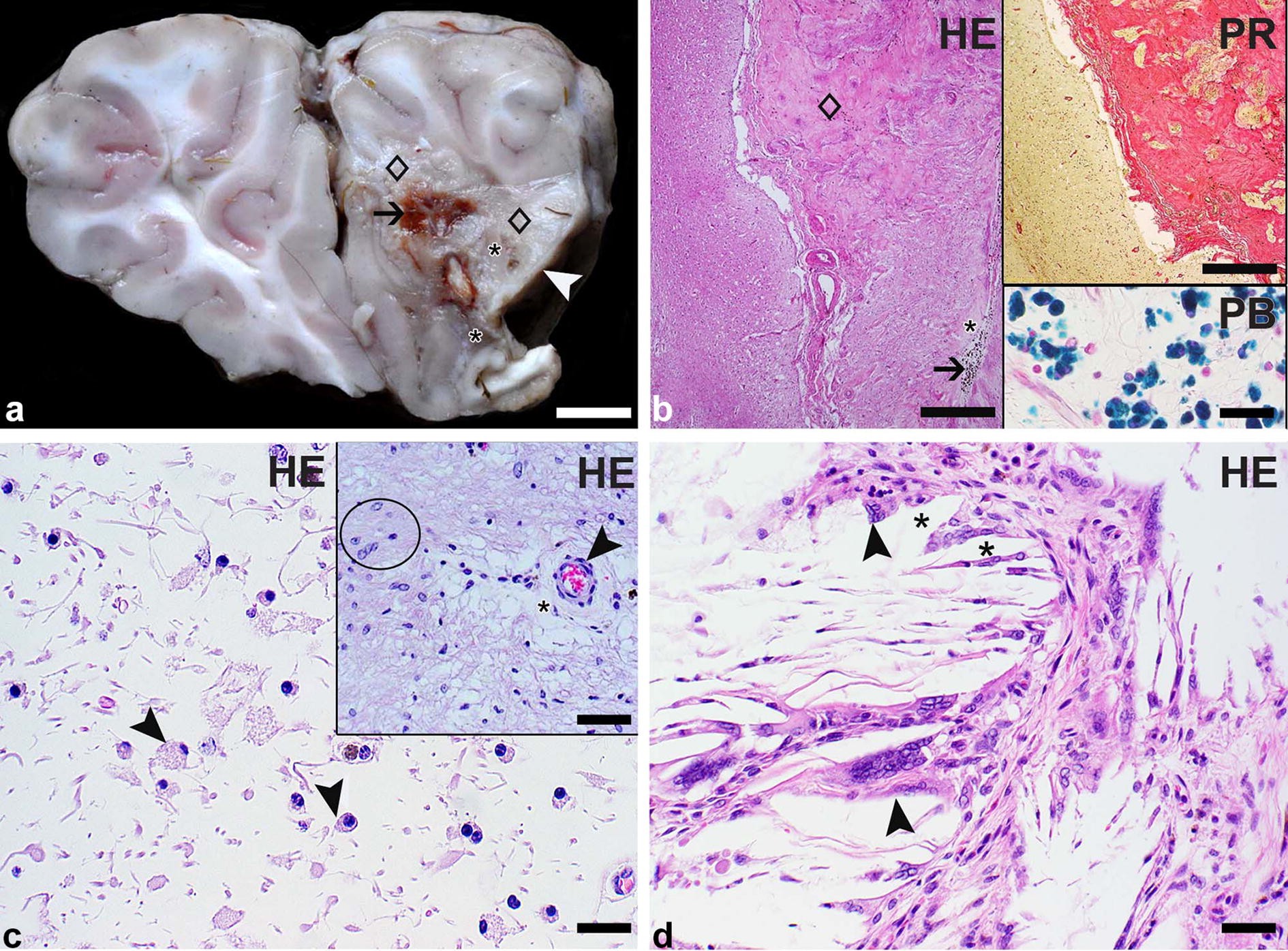 Fig. 1