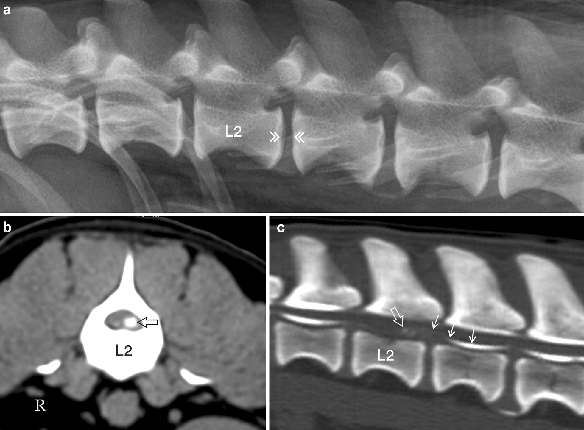 Fig. 4