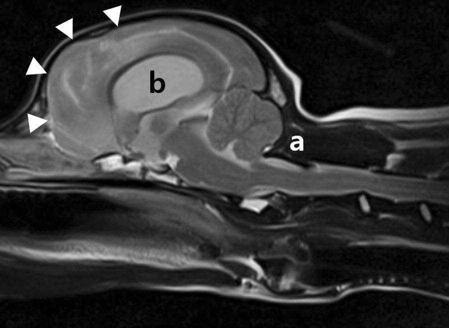 Fig. 3