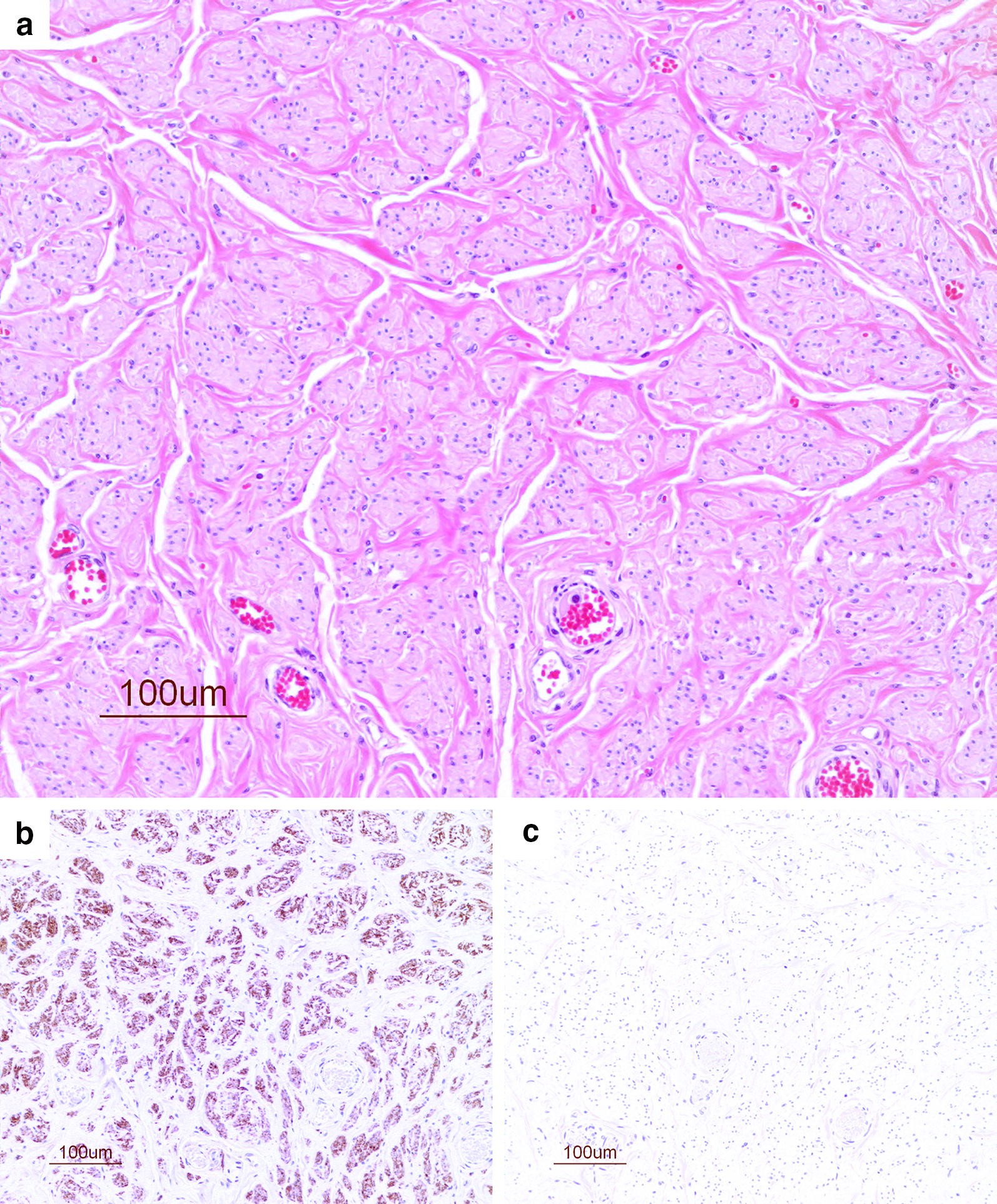 Fig. 3