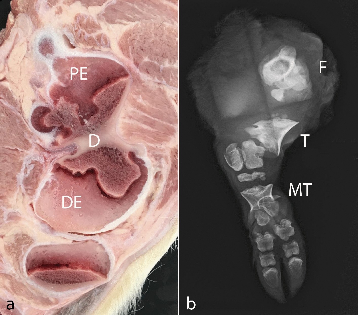 Fig. 2