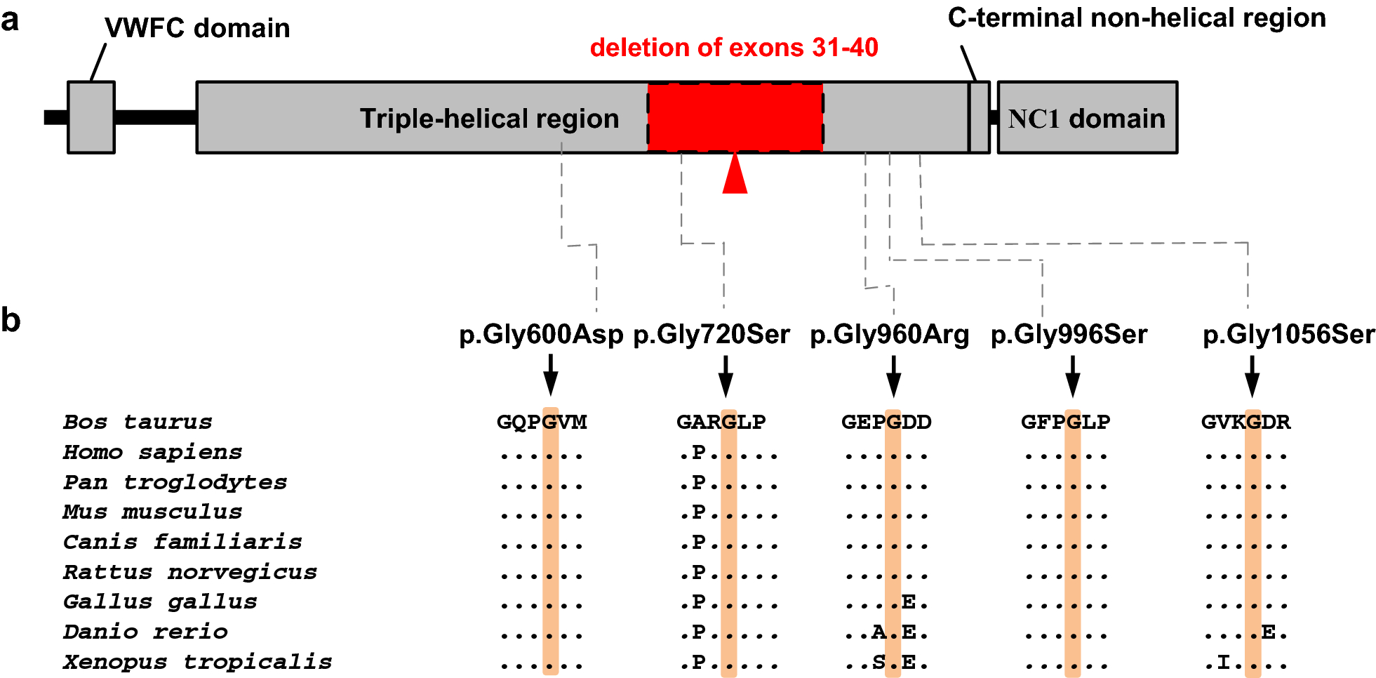 Fig. 6