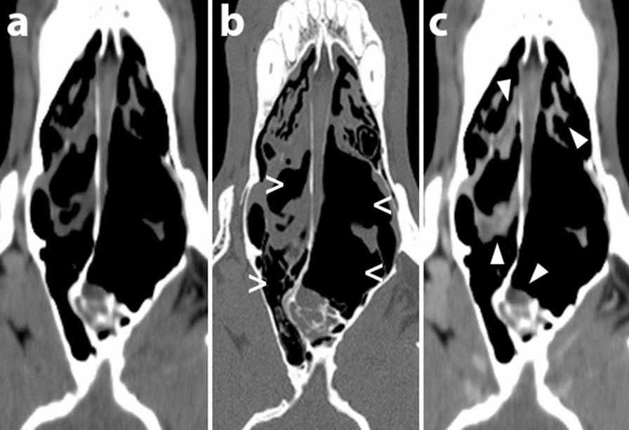 Fig. 5