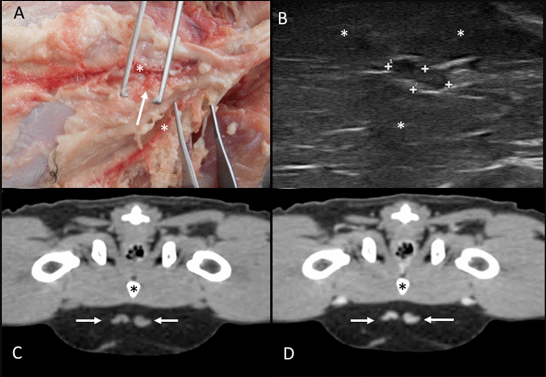 Fig. 12