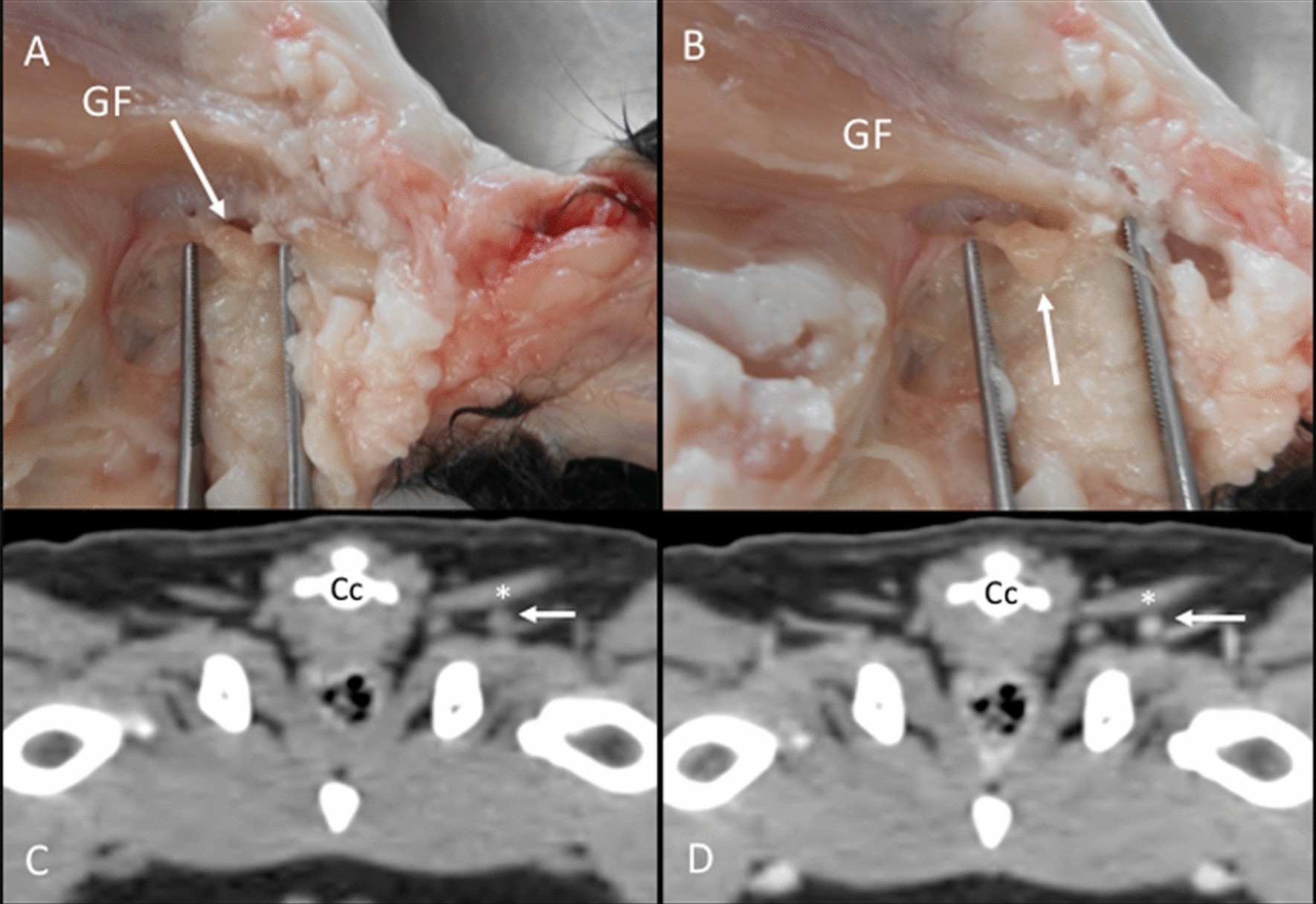 Fig. 14