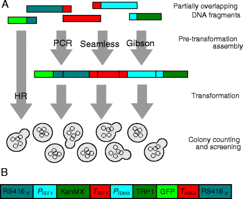 Fig. 1