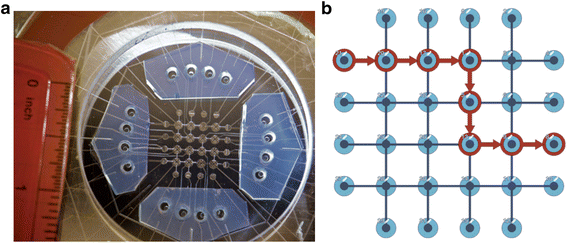 gmsh design microfluidics