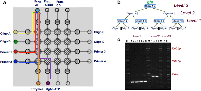 Fig. 4