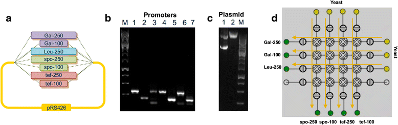 Fig. 5