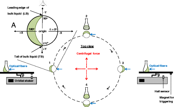 Fig. 2