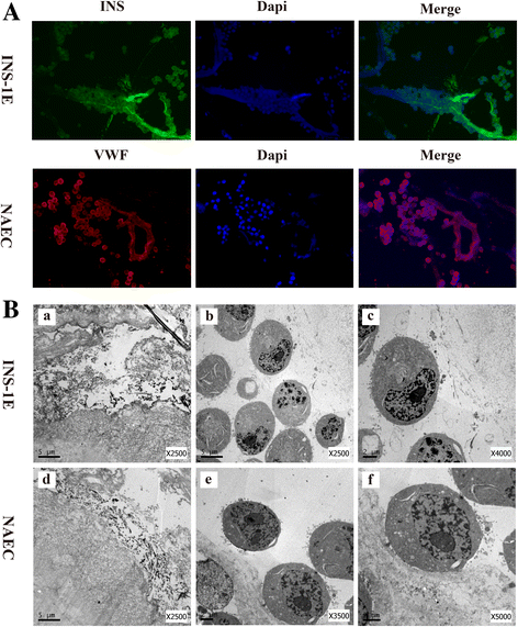 Fig. 8