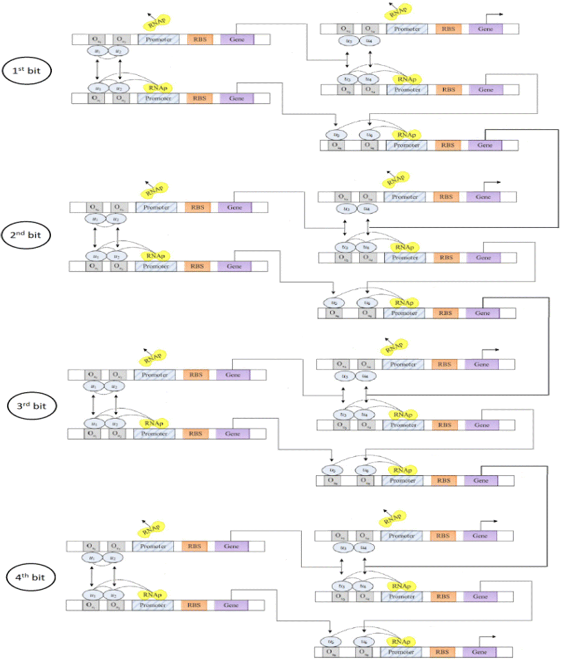 Fig. 11