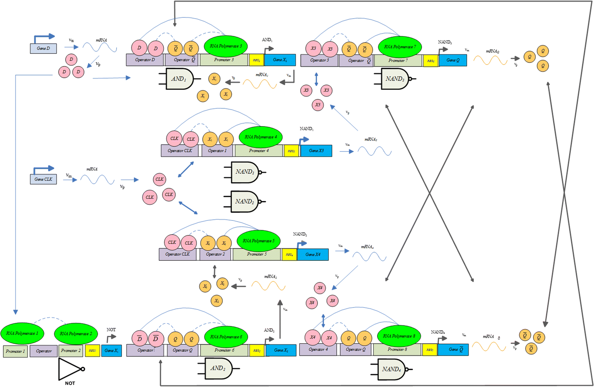 Fig. 4