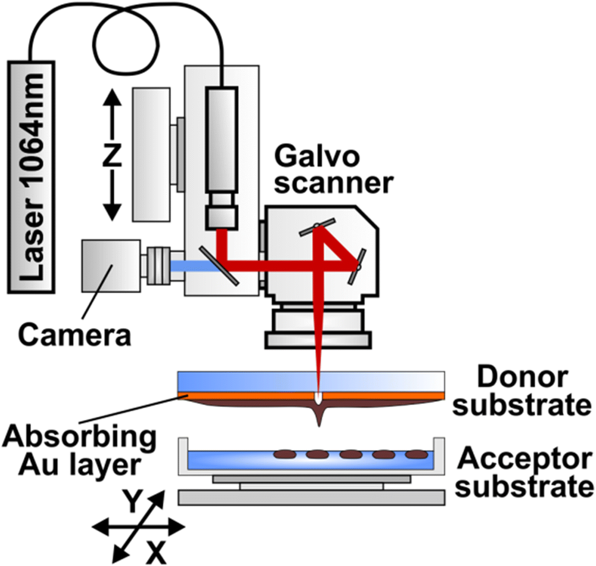 Fig. 9