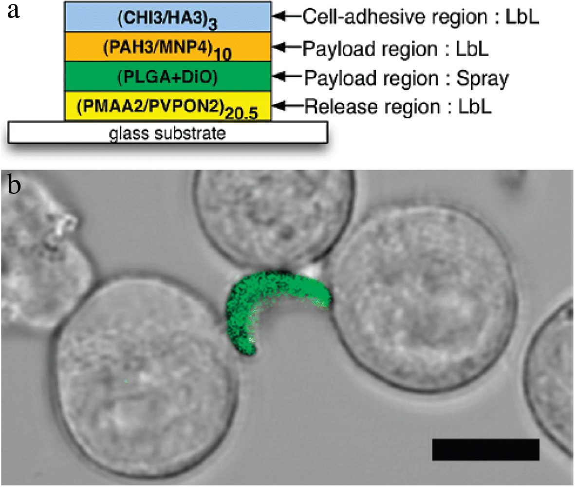 Fig. 15