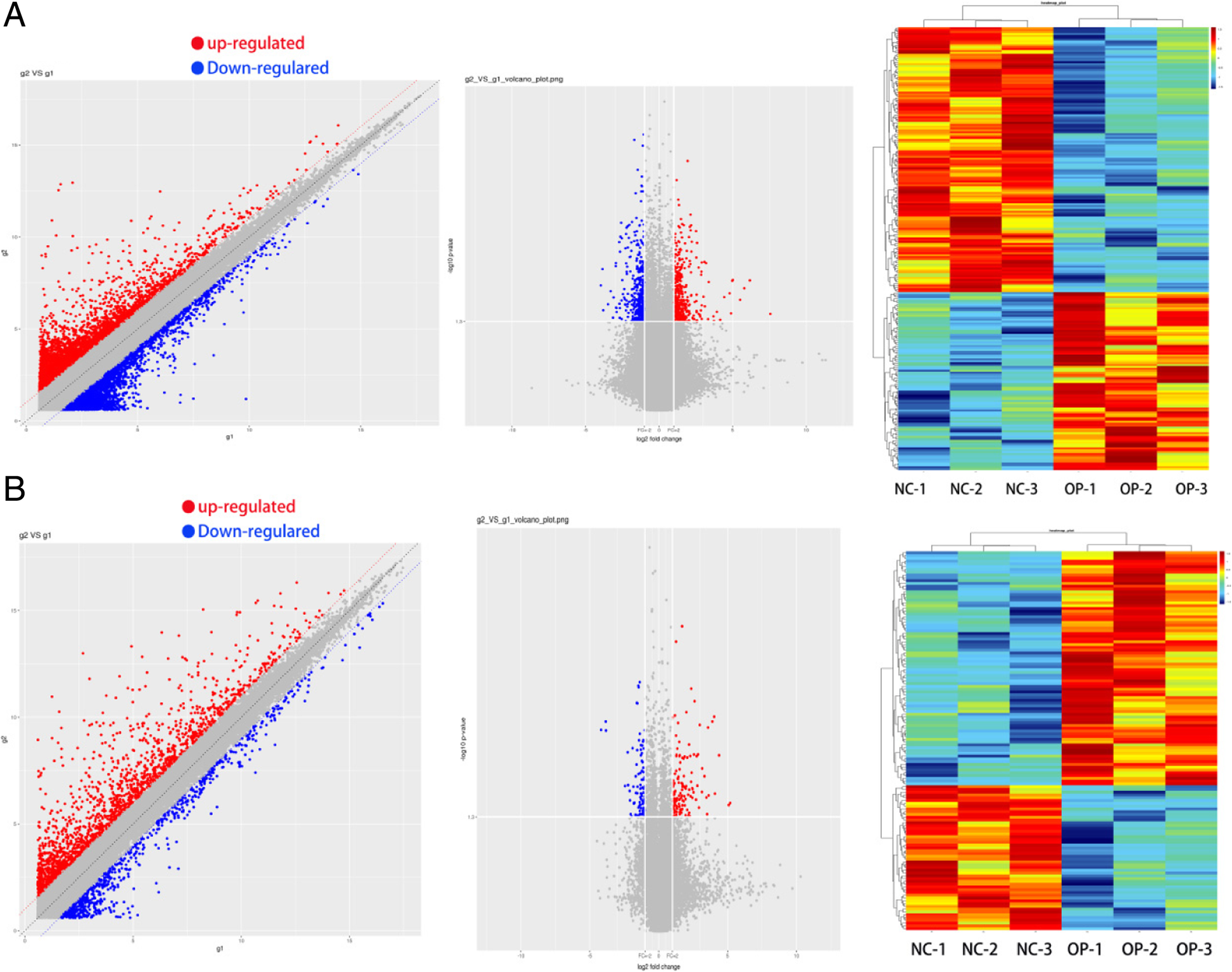 Expression Profile Analysis Of Long Non Coding Rna In Skeletal Muscle Of Osteoporosis By Microarray And Bioinformatics Journal Of Biological Engineering Full Text Expression Profile Analysis Of Long Non Coding Rna In Skeletal Muscle Of Osteoporosis By Microarray And Bioinformatics Journal Of Biological Engineering Full Text