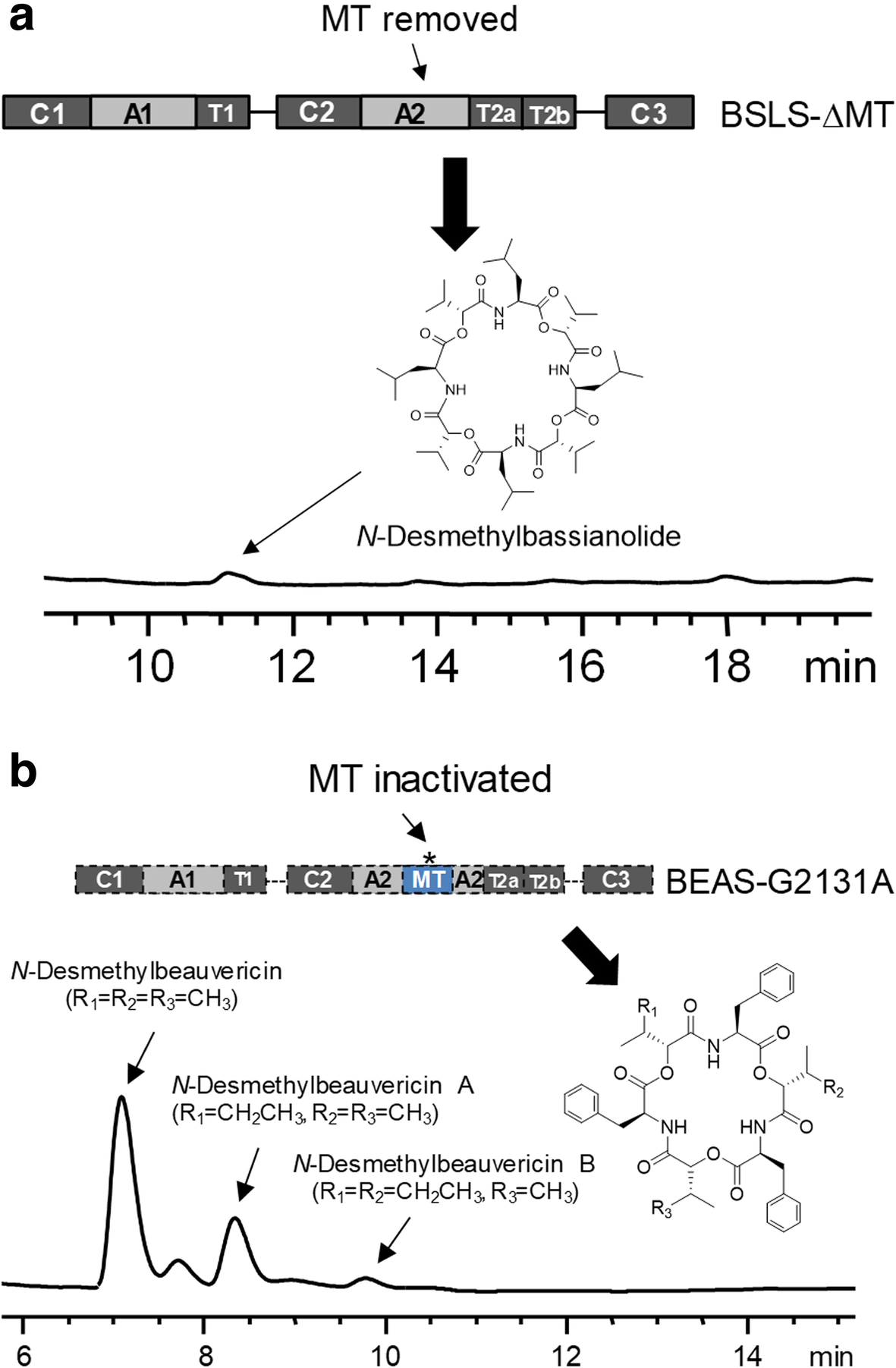 Fig. 2