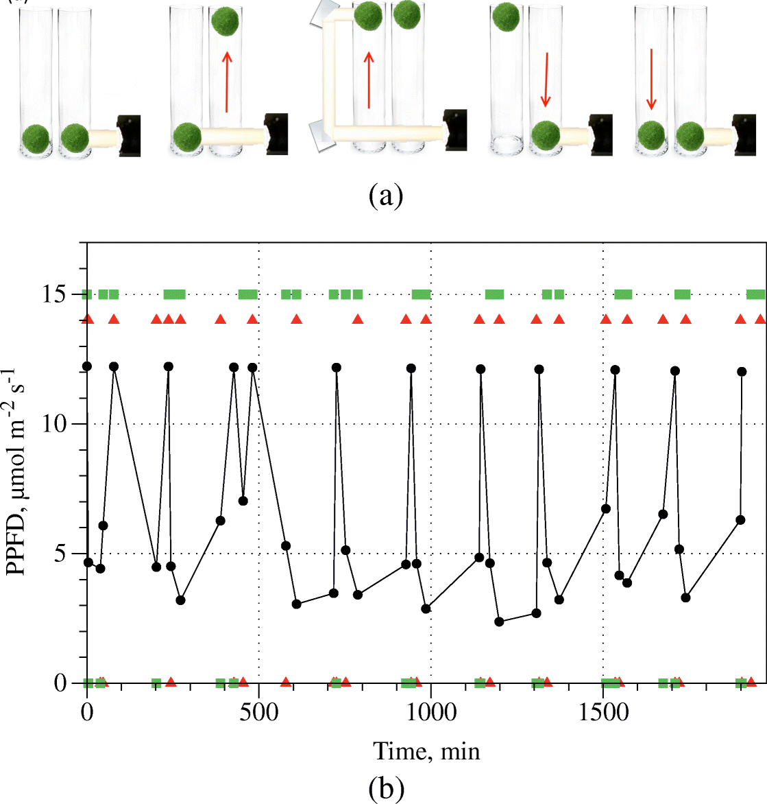 Fig. 5