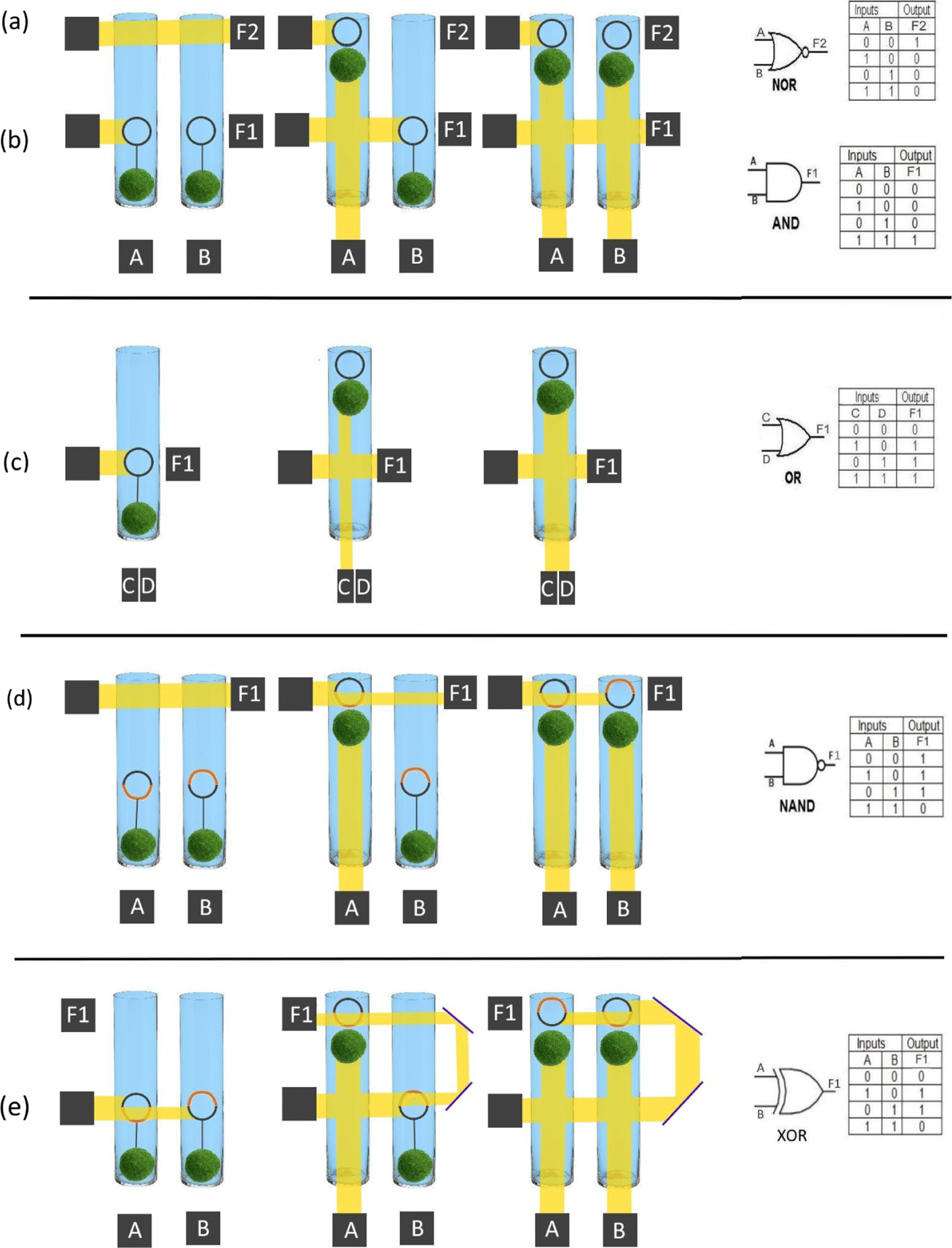 Fig. 7