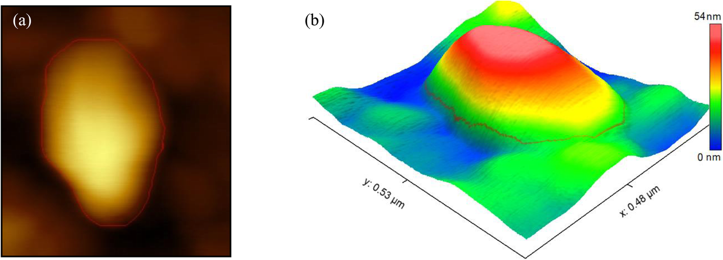 Fig. 11