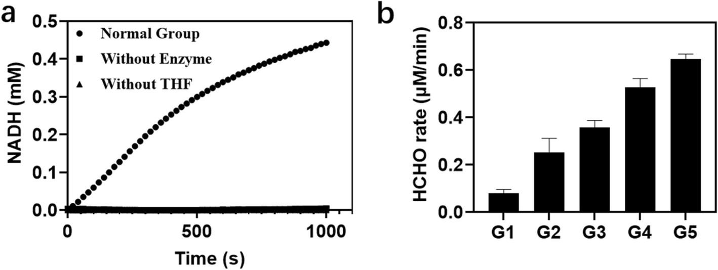 Fig. 5