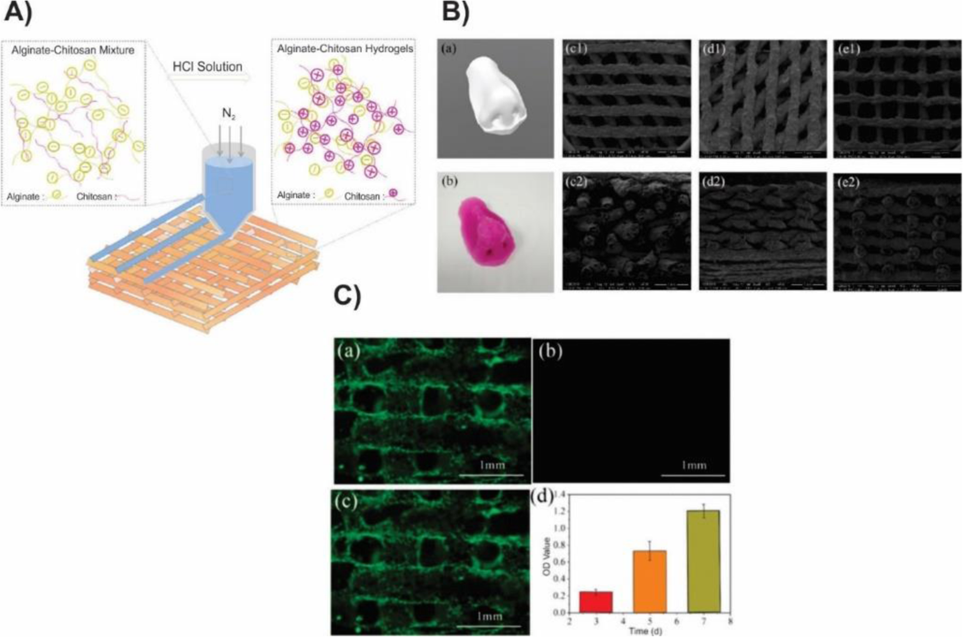 Alginate-based hydrogels as drug delivery vehicles in cancer treatment and  their applications in wound dressing and 3D bioprinting, Journal of  Biological Engineering