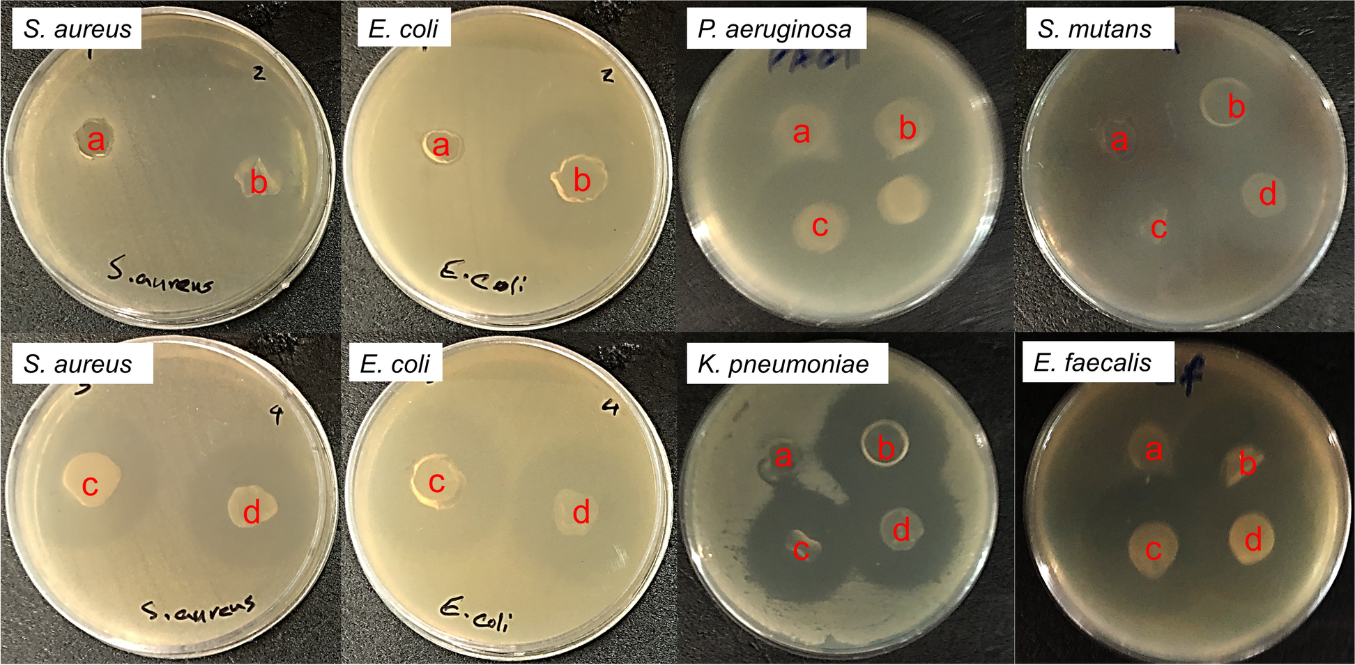 Fig. 9