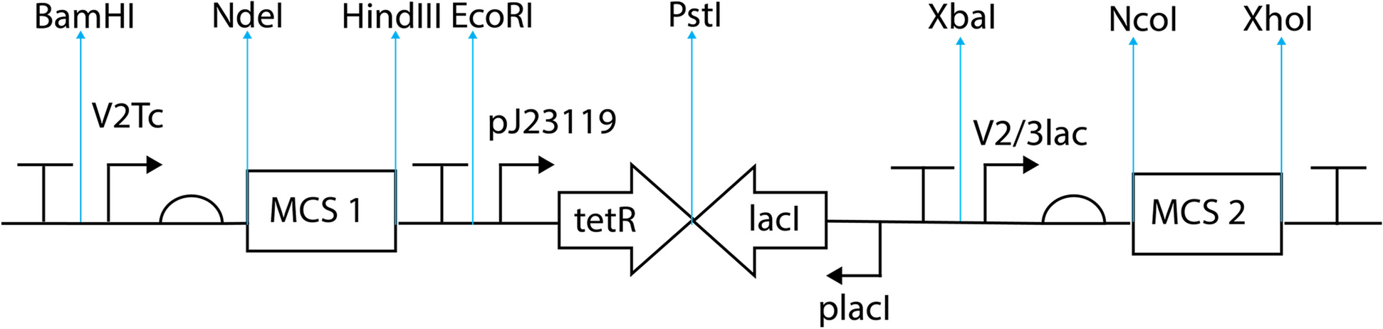 Fig. 1