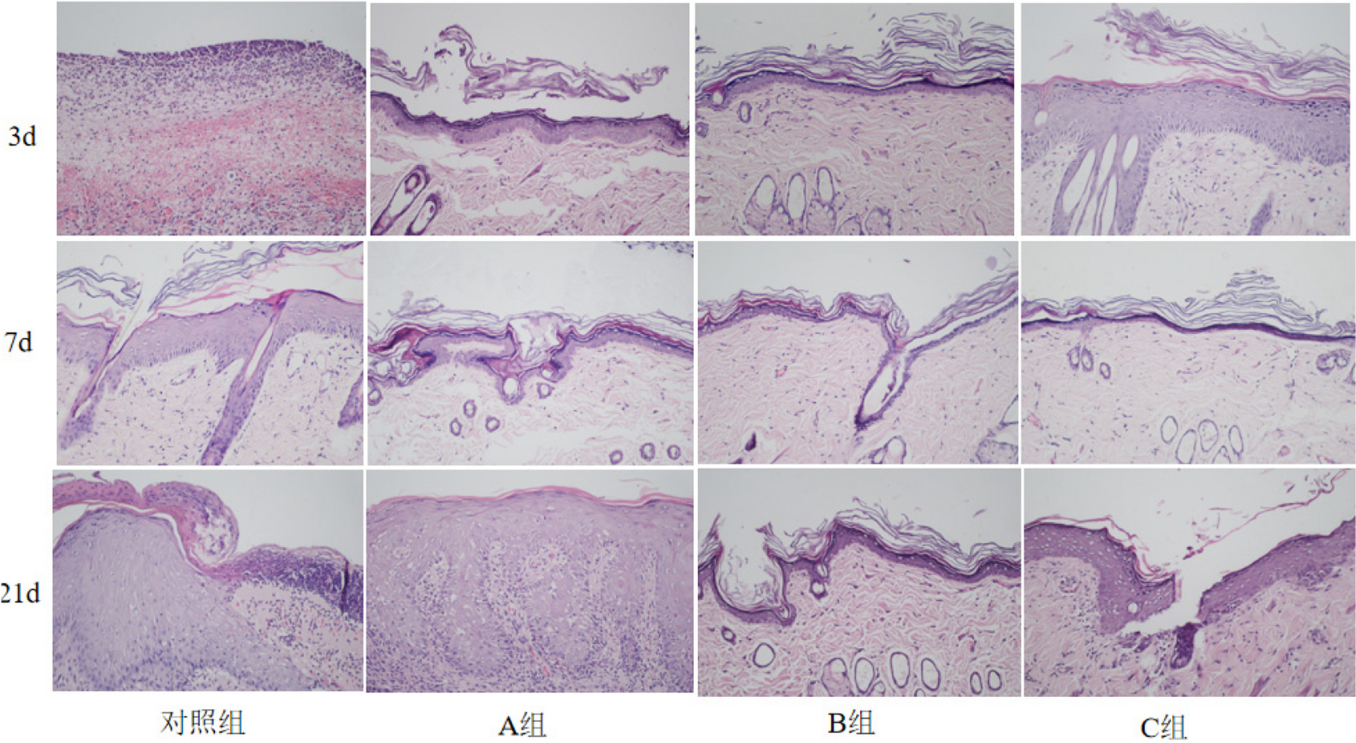 Fig. 9