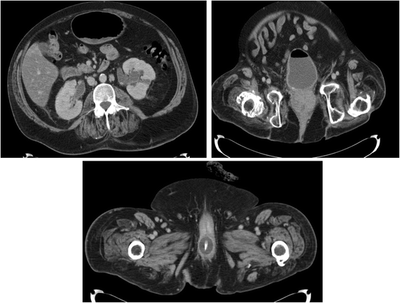 Fig. 4