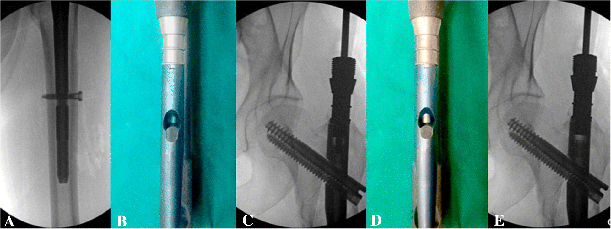 Fig. 8