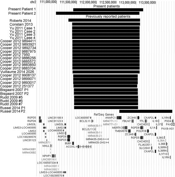 Fig. 4