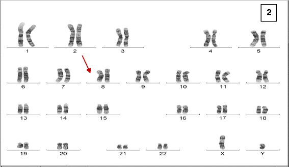 Fig. 2