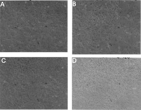 Fig. 15