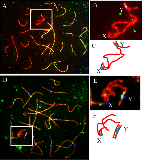 Fig. 3