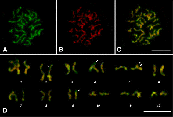 Fig. 5