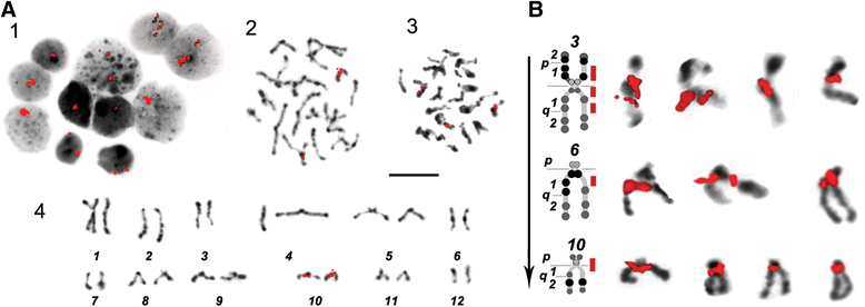 Fig. 6