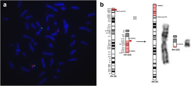 Fig. 2