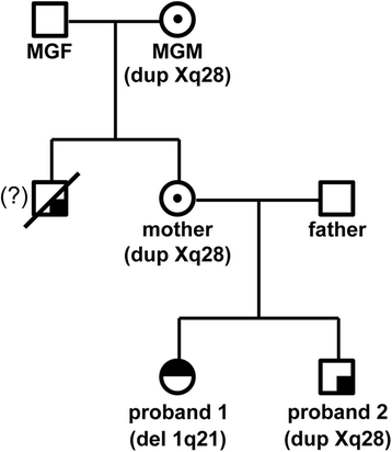 Fig. 5