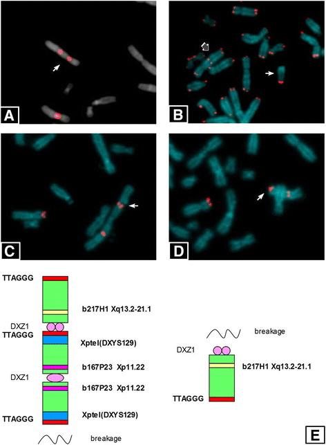 Fig. 2