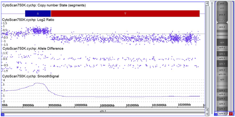 Fig. 2